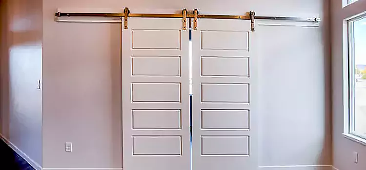 Glass Barn Door with Installation Hardware Kit Great Falls
